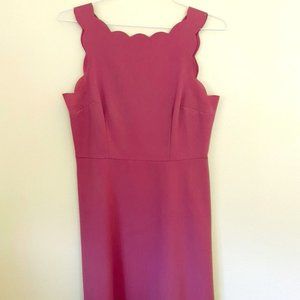 Magenta Scalloped Neckline Dress
